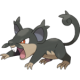 Rattata-alolan