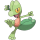 Treecko