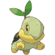 Turtwig