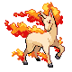 Rapidash